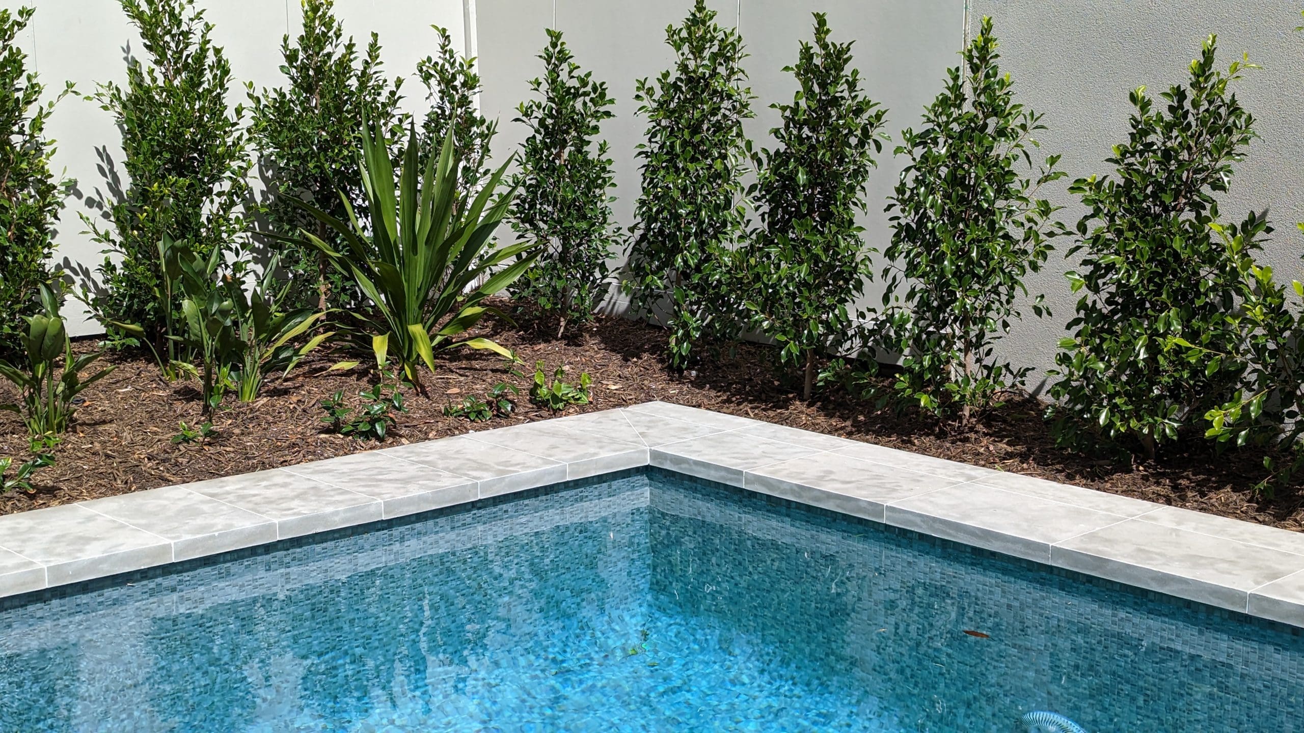 MADDISON BRUSHED & TUMBLED LIMESTONE_RMS TRADERS_NATURAL STONE GREY PAVERS POOL COPING TILES SUPPLIER MELBOURNE (19)