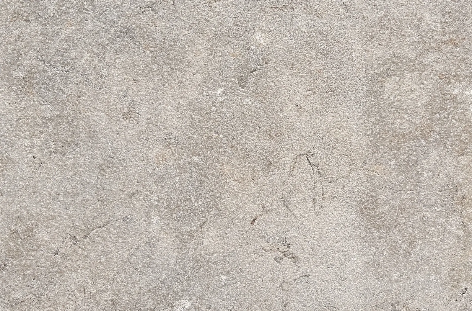 Stafford RMS Traders