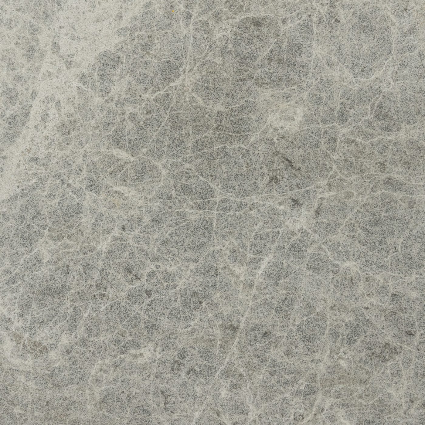 Tundra Grey Sandblasted Limestone